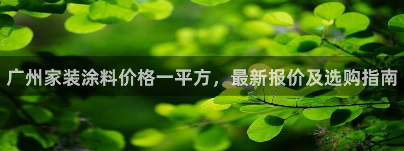 和记最新官方网址：广州家装涂料价格一平方，最新报价及选购指南