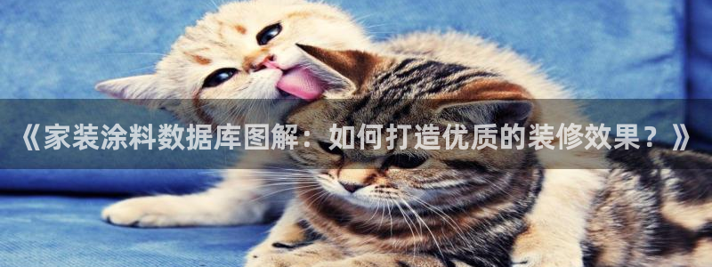 和记paging：《家装涂料数据库图解：如何打造优质的装修效果？》