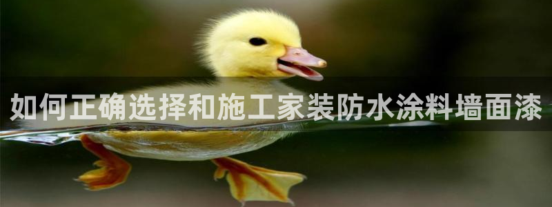 和记平台官网：如何正确选择和施工家装防水涂料墙面漆