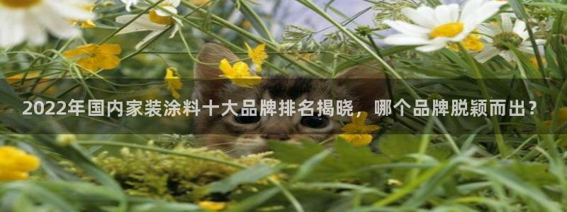和记ag登录：2022年国内家装涂料十大品牌排名揭晓，哪个品牌脱颖而出？