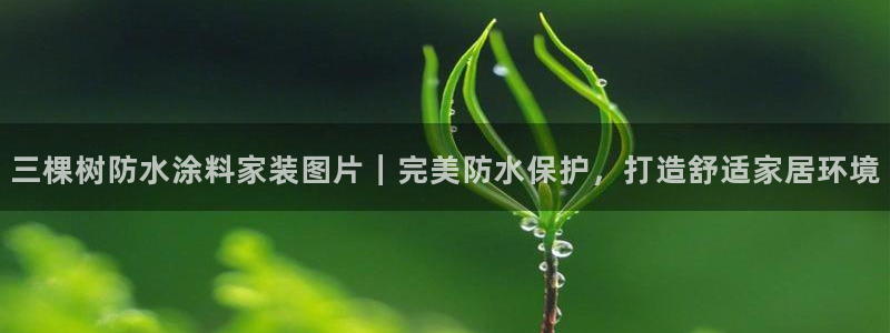 和记娱好网址：三棵树防水涂料家装图片｜完美防水保护，打造舒适家居环境