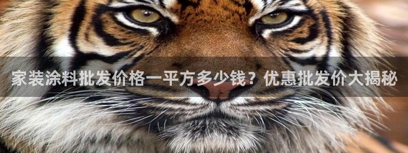 和记广告女主角：家装涂料批发价格一平方多少钱？优惠批发价大揭秘