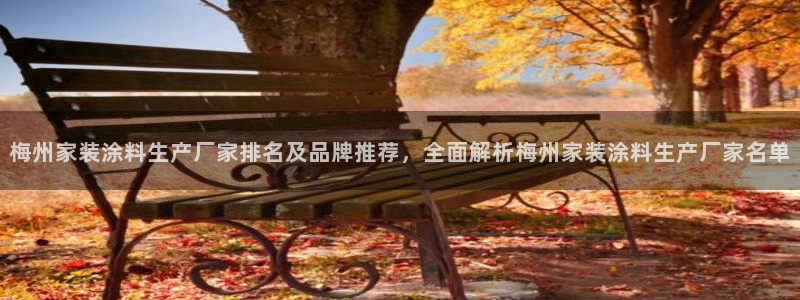 和记ag旗舰：梅州家装涂料生产厂家排名及品牌推荐，全面解析梅州家装涂料生产厂家名单