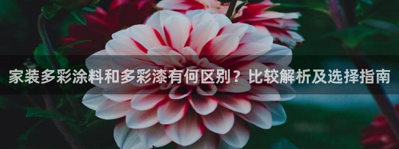 ag和记app：家装多彩涂料和多彩漆有何区别？比较解析及选择指南
