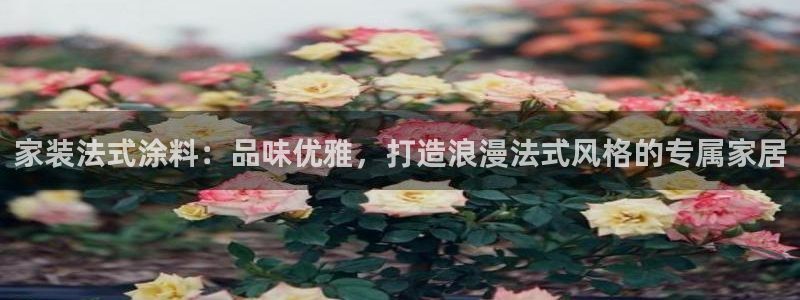 和记ag网址：家装法式涂料：品味优雅，打造浪漫法式风格的专属家居