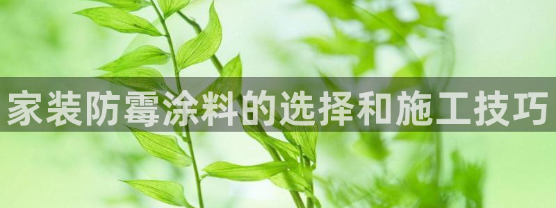和记电业集团：家装防霉涂料的选择和施工技巧
