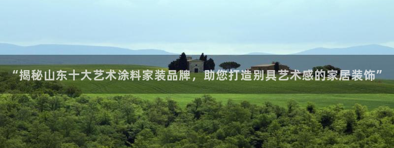 和记 首页：“揭秘山东十大艺术涂料家装品牌，助您打造别具艺术感的家居装饰”