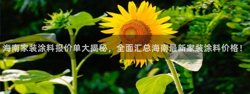 和记ag旗舰厅app
