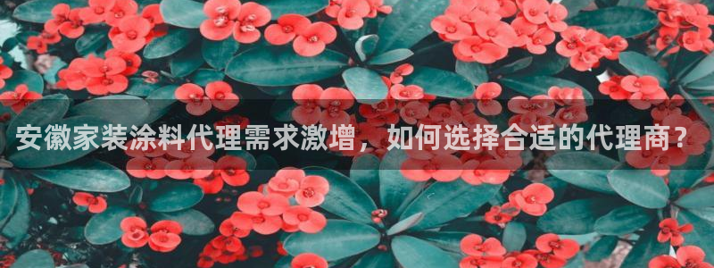 和记注册有什么送的：安徽家装涂料代理需求激增，如何选择合适的代理商？