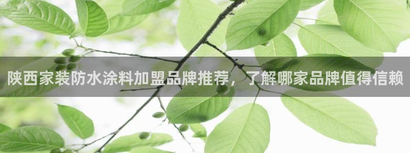 和记国际客服：陕西家装防水涂料加盟品牌推荐，了解哪家品牌值得信赖