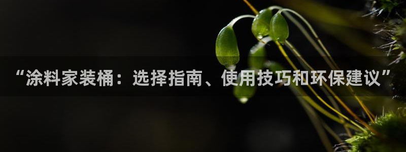 上海和记餐饮：“涂料家装桶：选择指南、使用技巧和环保建议”