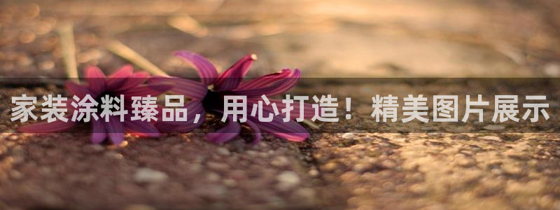 和记国际官网官网：家装涂料臻品，用心打造！精美图片展示
