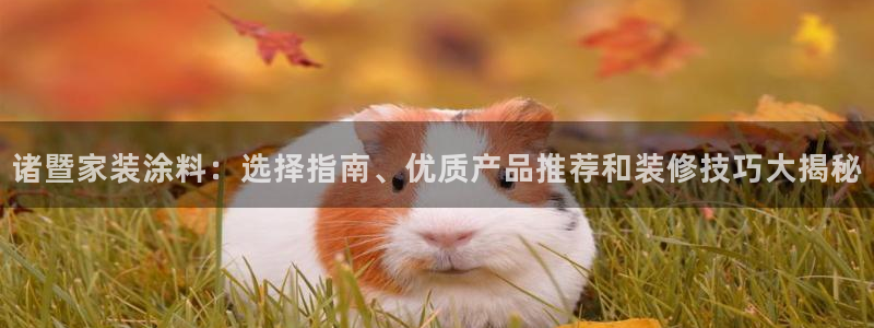 和记 首页：诸暨家装涂料：选择指南、优质产品推荐和装修技巧大揭秘
