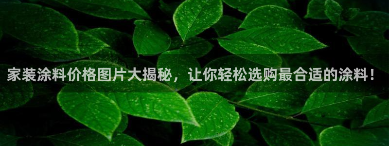和记网页：家装涂料价格图片大揭秘，让你轻松选购最合适的涂料！