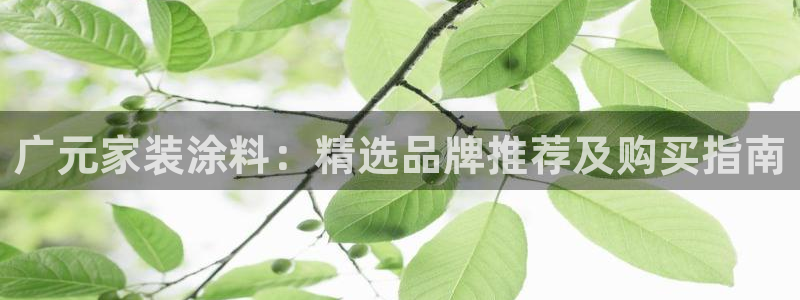和记app官网：广元家装涂料：精选品牌推荐及购买指南