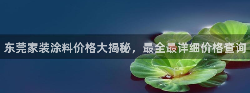 和记h8