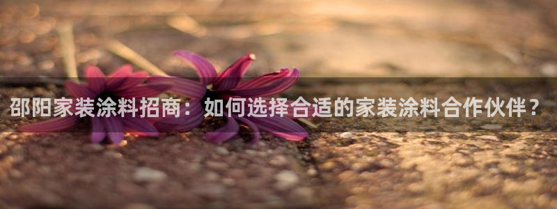 和记官方：邵阳家装涂料招商：如何选择合适的家装涂料合作伙伴？