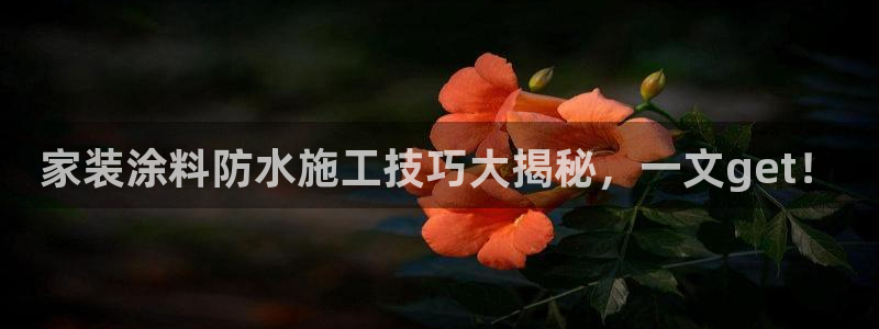 和记官方直营：家装涂料防水施工技巧大揭秘，一文get！