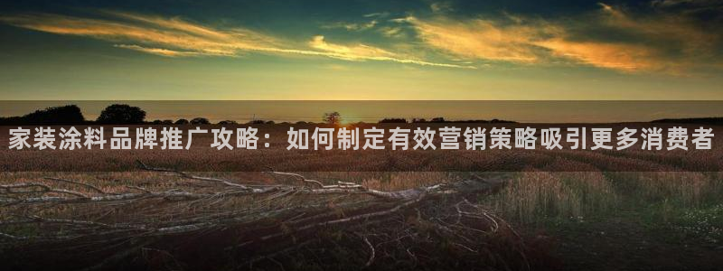 和记平台注册：家装涂料品牌推广攻略：如何制定有效营销策略吸引更多消费者