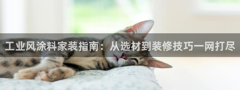 和记官方网站：工业风涂料家装指南：从选材到装修技巧一网打尽