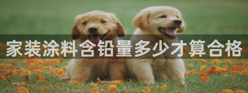 和记官网登录：家装涂料含铅量多少才算合格