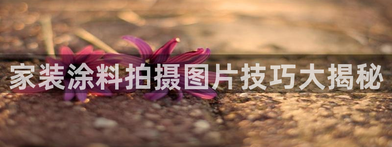 和记平台怎么样：家装涂料拍摄图片技巧大揭秘