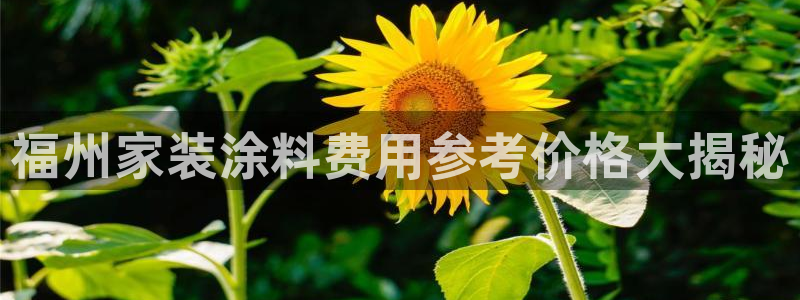 和记港口：福州家装涂料费用参考价格大揭秘