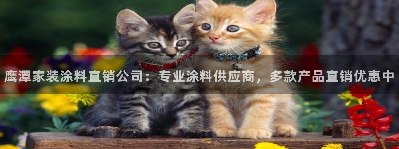 和记ag旗舰：鹰潭家装涂料直销公司：专业涂料供应商，多款产品直销优惠中