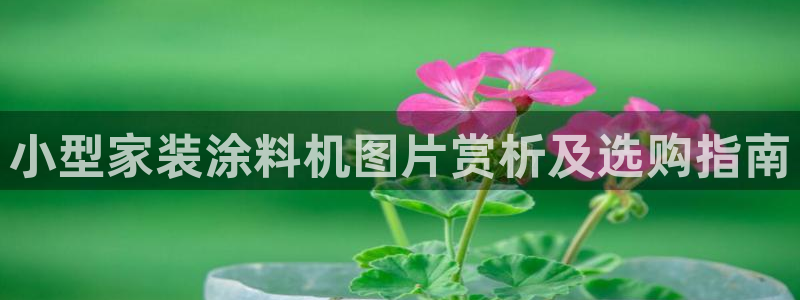 和记h8：小型家装涂料机图片赏析及选购指南