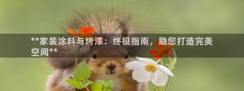 和记官网登陆：**家装涂料与烤漆：终极指南，助您打造完美
空间**