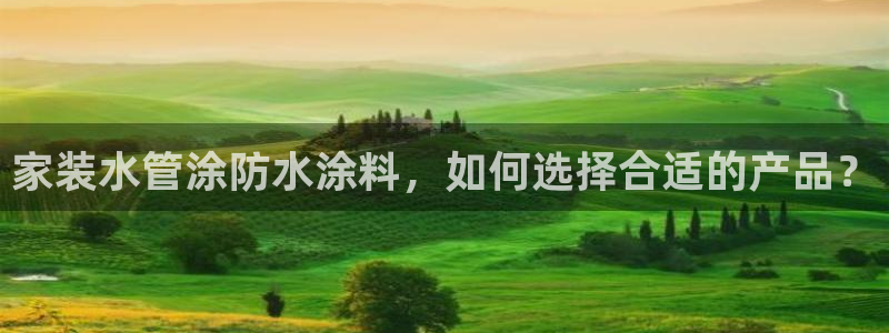 和记官方平台：家装水管涂防水涂料，如何选择合适的产品？