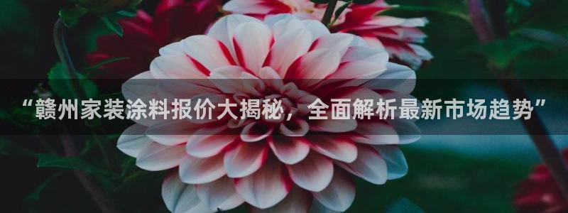 和记平台下载：“赣州家装涂料报价大揭秘，全面解析最新市场趋势”