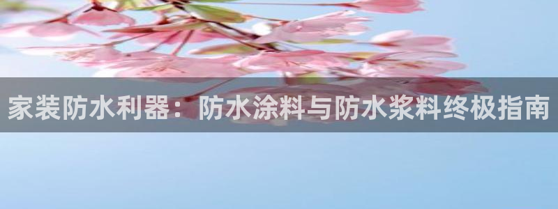 和记官网登陆：家装防水利器：防水涂料与防水浆料终极指南