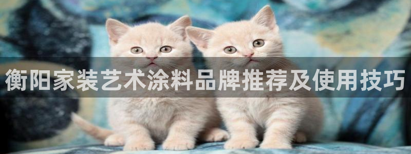 和记H88：衡阳家装艺术涂料品牌推荐及使用技巧