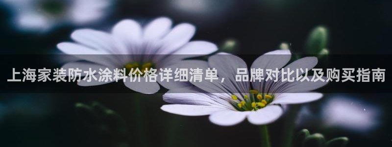 和记电业集团：上海家装防水涂料价格详细清单，品牌对比以及购买指南