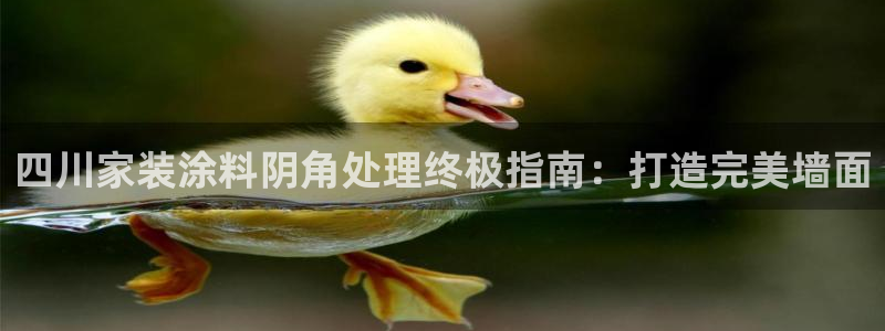 和记娱好网址：四川家装涂料阴角处理终极指南：打造完美墙面