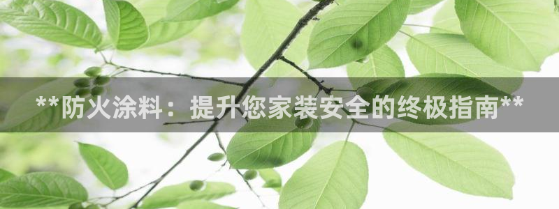 和记官方直营：**防火涂料：提升您家装安全的终极指南**