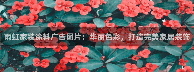 和记ag旗舰国际