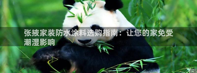 和记官网：张掖家装防水涂料选购指南：让您的家免受
潮湿影响
