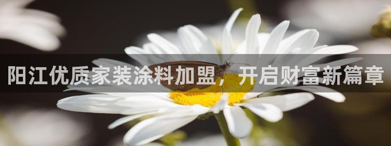 和记官网官方网站：阳江优质家装涂料加盟，开启财富新篇章