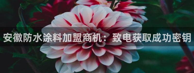 和记官方网站：安徽防水涂料加盟商机：致电获取成功密钥