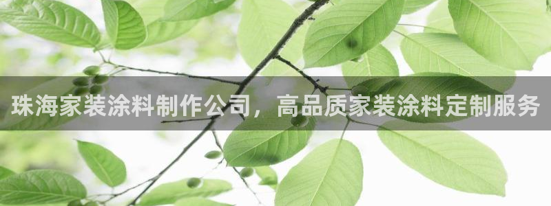 和记官方网址：珠海家装涂料制作公司，高品质家装涂料定制服务