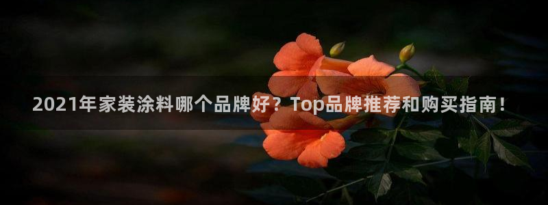 和记pc：2021年家装涂料哪个品牌好？Top品牌推荐和购买