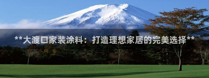 和记(福建)商贸有限公司：**大渡口家装涂料：打造理想家居的完美选择**