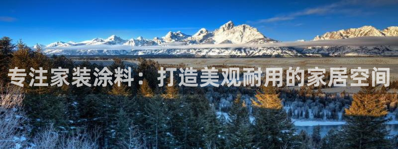 和记h188：专注家装涂料：打造美观耐用的家居空间