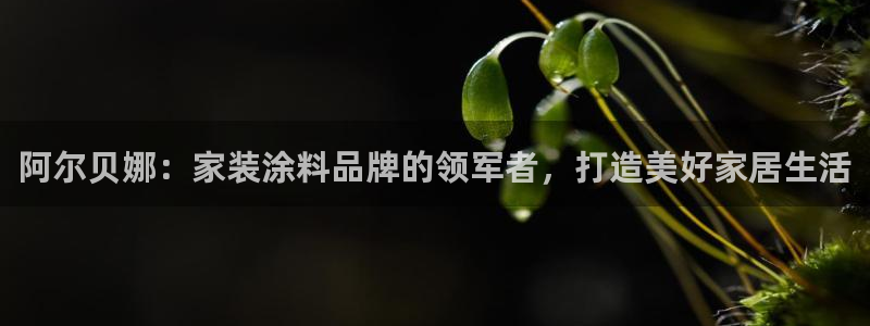 和记 中国官网：阿尔贝娜：家装涂料品牌的领军者，打造美好家居