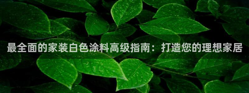 和记paging：最全面的家装白色涂料高级指南：打造您的理想