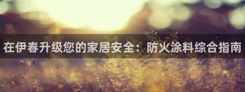 和记ag网址：在伊春升级您的家居安全：防火涂料综合指南