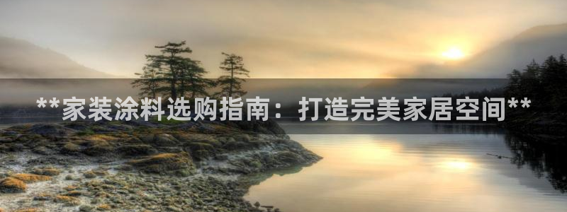 和记paging：**家装涂料选购指南：打造完美家居空间**