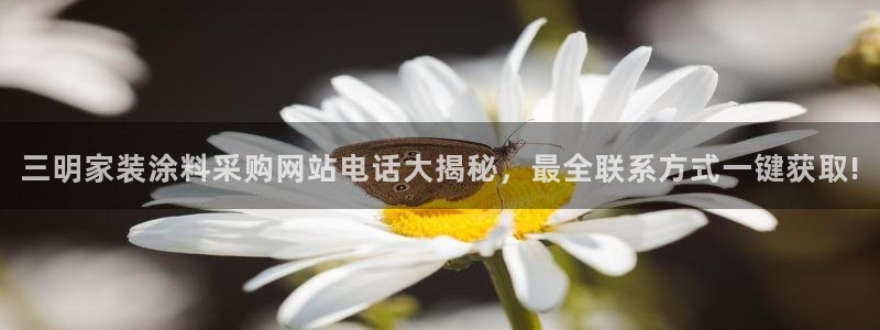 和记(福建)商贸有限公司：三明家装涂料采购网站电话大揭秘，最全联系方式一键获取!